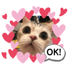 Love my cat Muu