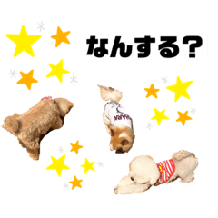 hana_20190819202019