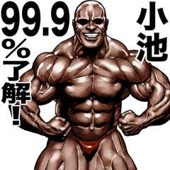 Koike dedicated Muscle macho sticker
