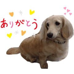 kaoru_20190819212833