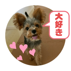 Megumi_20190819204441