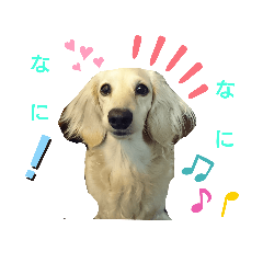 kaoru_20190819214151