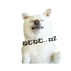 kinako_20190819221321