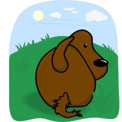 MOGGO: The Brown Dog