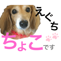 Akari_20190820012421