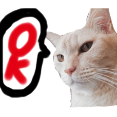 RiNo_20190819232008