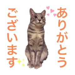 moco_20190819155735