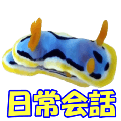 Beautiful seaslug(Japanese Conversation)