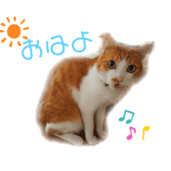 Ran_20190819214913