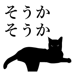 Black cat affirmation