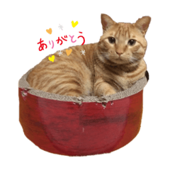 akane_20190820121905