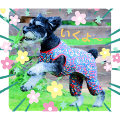 asuka_20190820120508