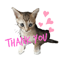 marina_20190820112804