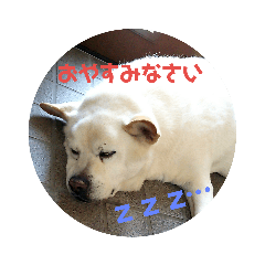 nanami_20190820140943