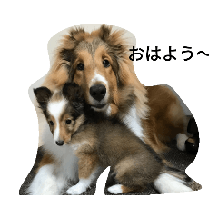 Akane_20190820153458