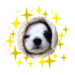 tommy_20190820134143