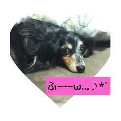 kayo_20190820181855