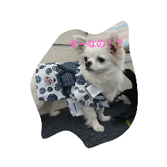 chi_20190820174341