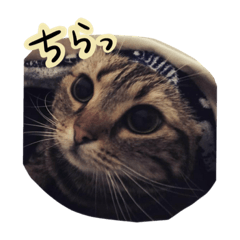 tsumu2019