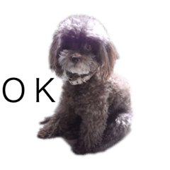 arisa_20190820172159