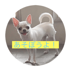 haruna_20190820185726