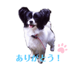 nana-chan special