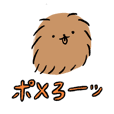 ポメ来たる