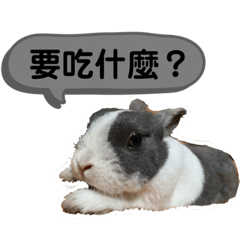 我是昂估