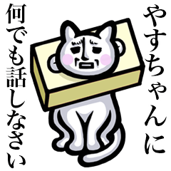 Stray cat!! Yasuchan