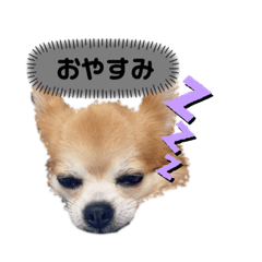 ERIRIN_20190820212140