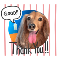 yukari_20190820184346