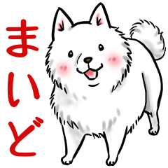 白犬たち3（ふわふわ関西弁どす）