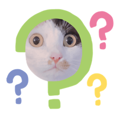ask_20190820020630