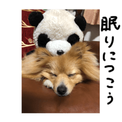 chan_20190821001929