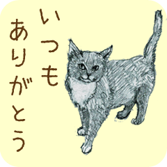 ネコ科のデッサン イエネコ・トラ・ヒョウ - LINE スタンプ LINE STORE