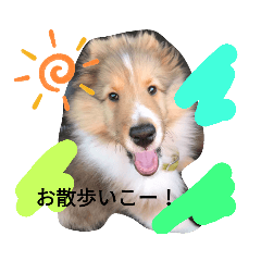 Akane_20190821074025