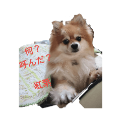 yuuki_20190821090314