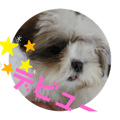 Iku_20190821091348