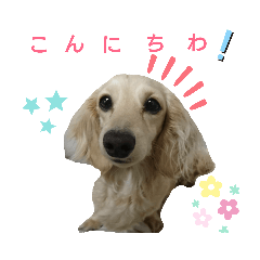 kaoru_20190820195900