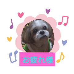 yukko_20190821113856