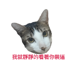 我是Money（二）