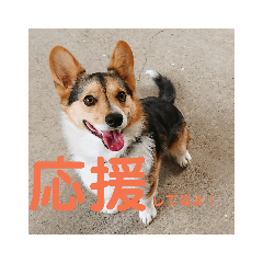 peace_20190821131251