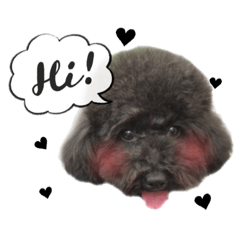 ayumi_20190821141909