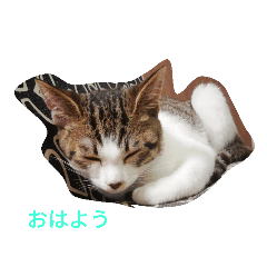 hinata_20190821153338
