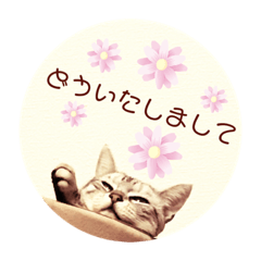chihiro_20190821180847