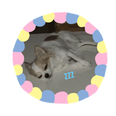mame_20190821163605