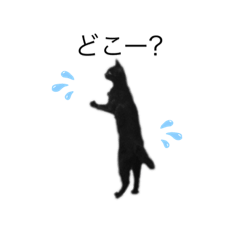 saya_20190821182856