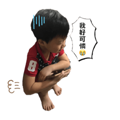 Evelyn_20190821161017 - LINE スタンプ | LINE STORE