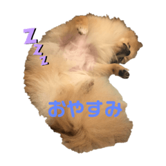 mini_20190821190623