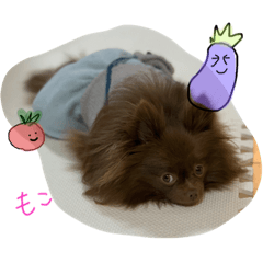 Moko Moko life 3